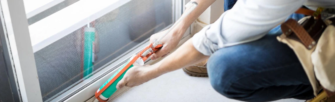 Emergency Window Replacement Services in Bellview, FL