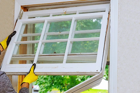 Window Replacement in Bellview, FL